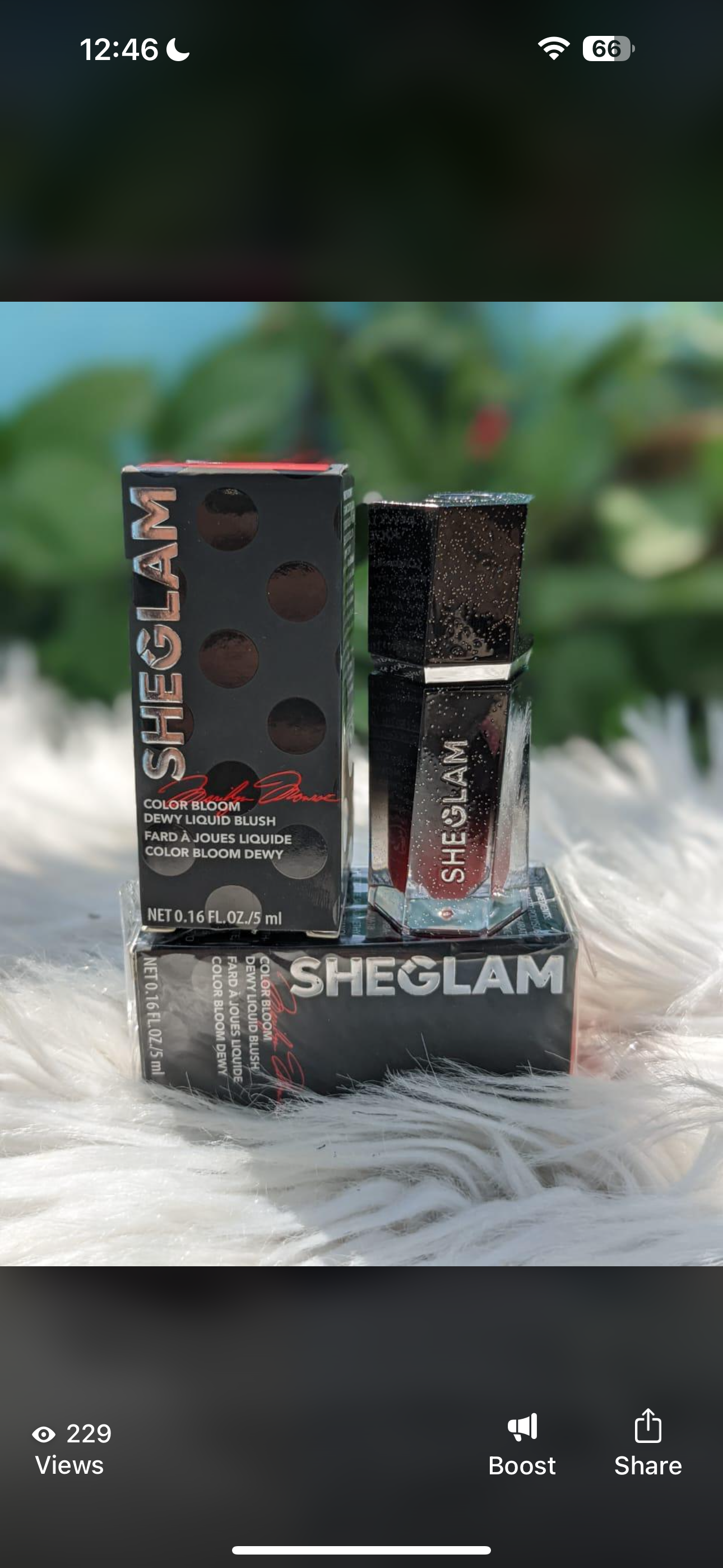 Sheglam hollywood blush