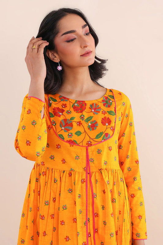 Paithani Print Blocked Dress